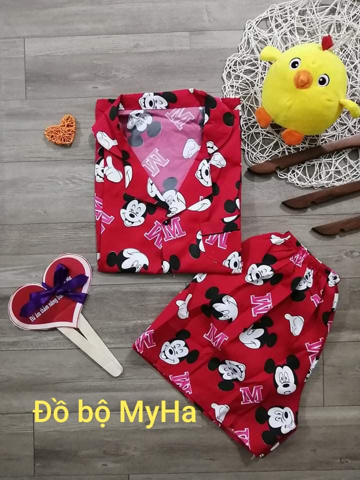 [HCM]Đồ Bộ pijama Kate Đùi  (mã 2)