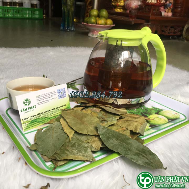 Lá mãng cầu xiêm 500g - Hỗ trợ cải thiện chứng mất ngủ và tăng cường khả năng hoạt động của tim mạch - Thảo Dược Tấn Phát