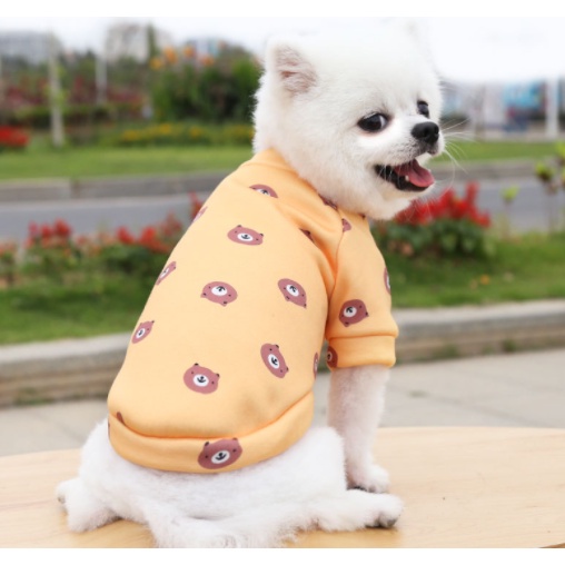 ÁO CHÓ MÈO 2 CHÂN CHẤT NỈ CO DÃN - Boss City