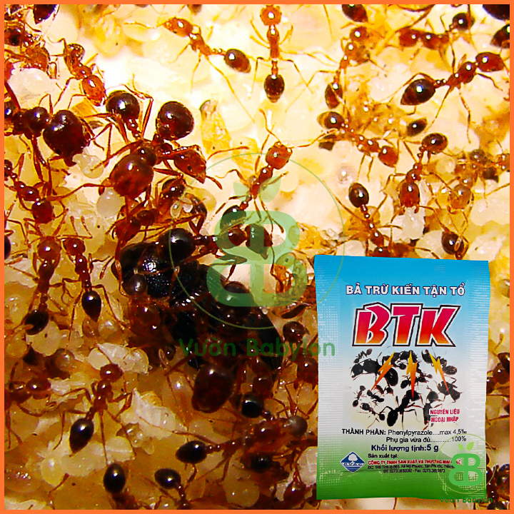 Bả Trừ Kiến Tận Ổ BTK Gói 5G