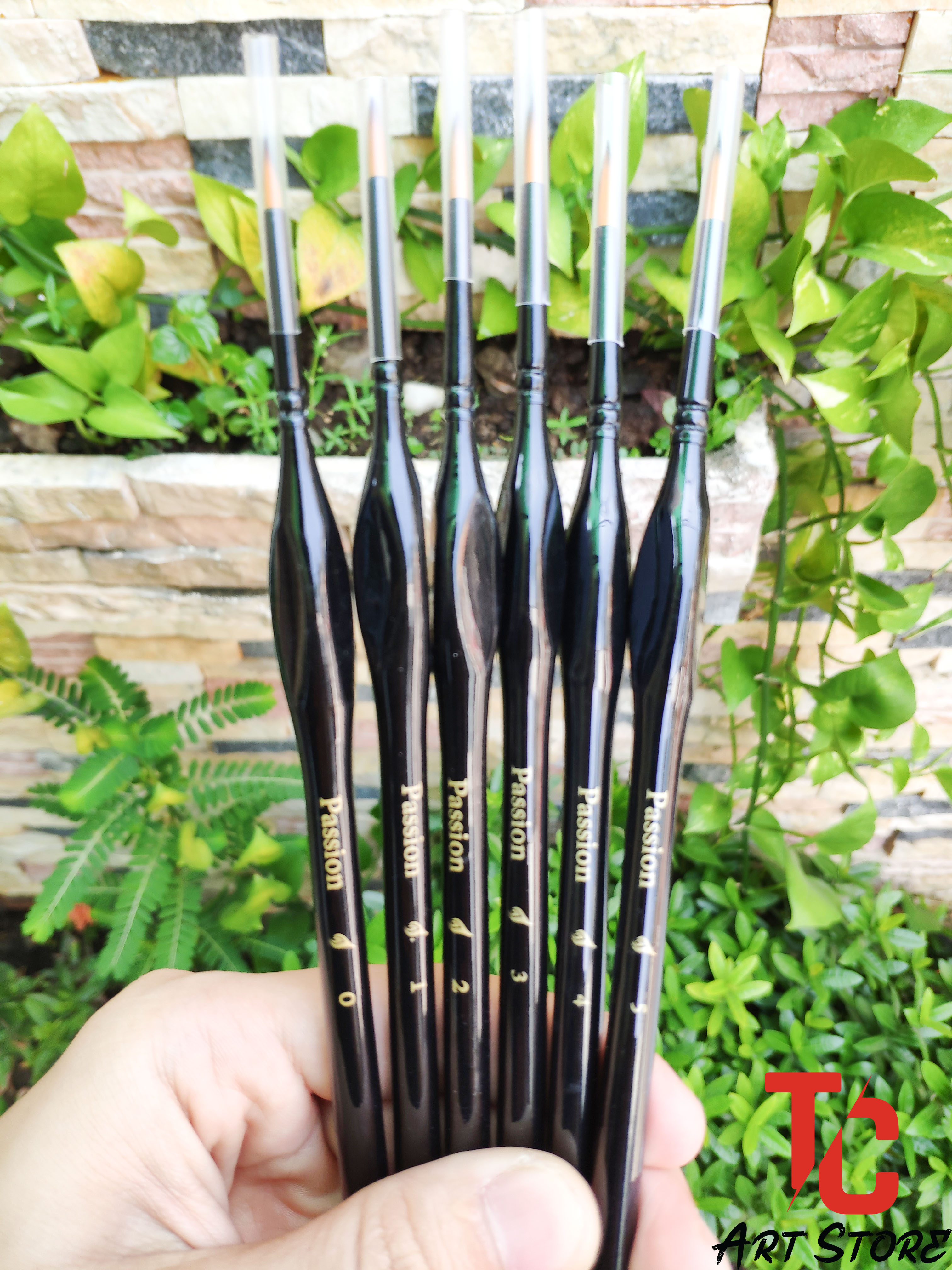 [TC Art Store] CỌ PASSION ARTIST BRUSH