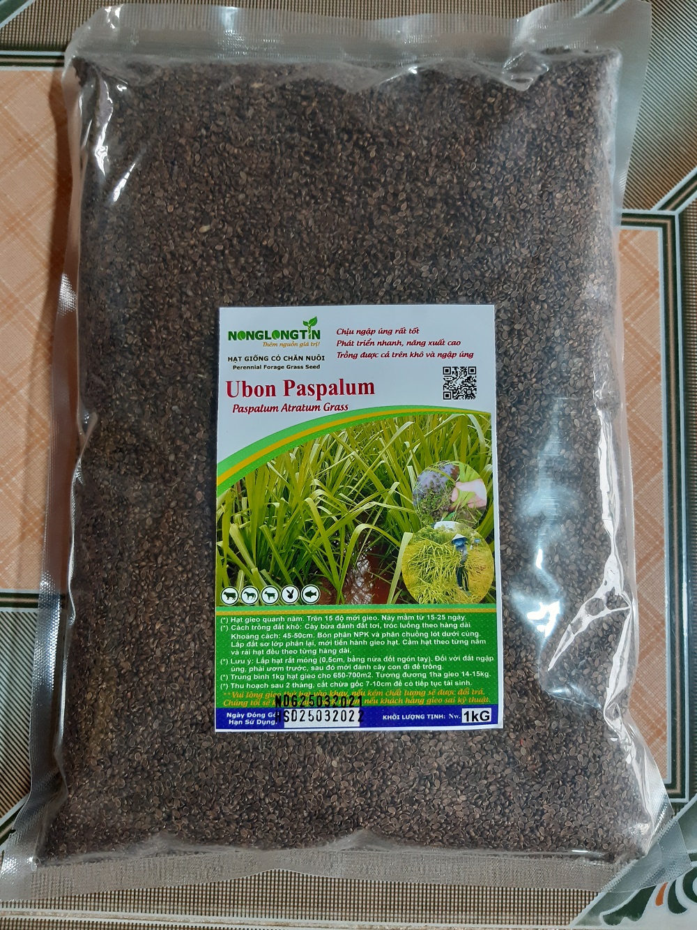 Hạt Giống Cỏ Paspalum - chịu ngập úng