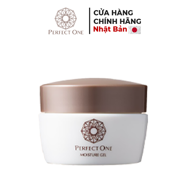 Tinh chất dưỡng ẩm PERFECT ONE Moisture Gel (6 trong 1) 75G