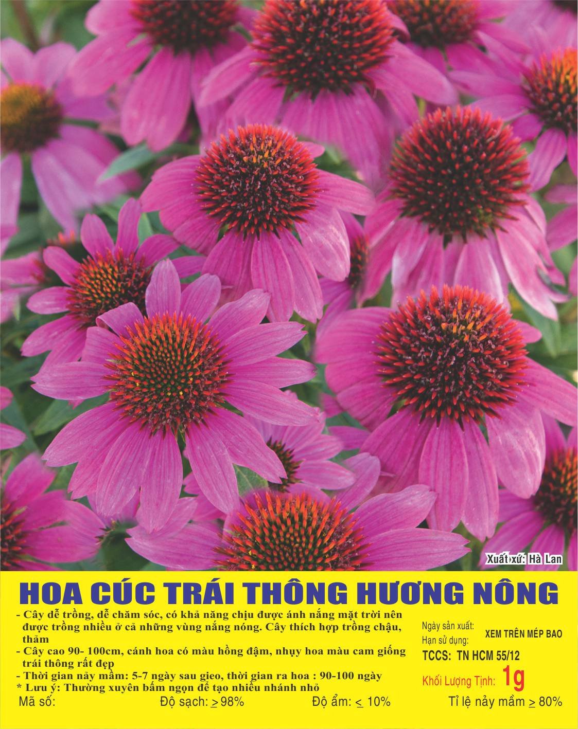 Hạt Hoa Cúc Trái Thông - Gói 1 Gram