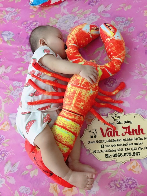 [HCM]Gối ôm 3d tôm hùm