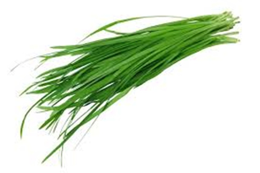 Hạt giống hẹ xanh tặng kích mầm