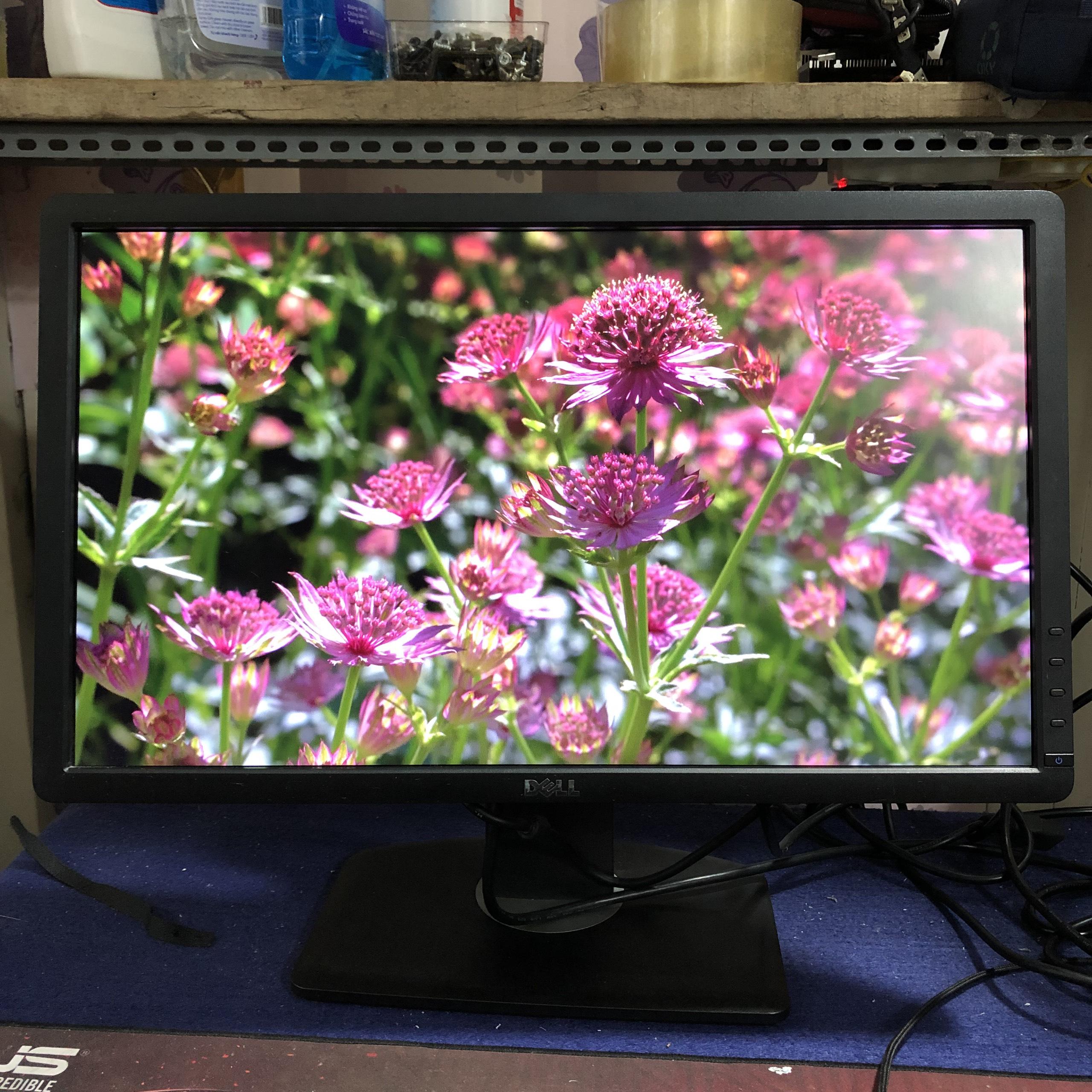 BÁO GIÁ Màn Hình 22in | Shopee Lazada Sendo Tiki mới nhất 4 Màn hình máy tính Dell P2212H, lcd dell 22in, màn hình dell 22 in