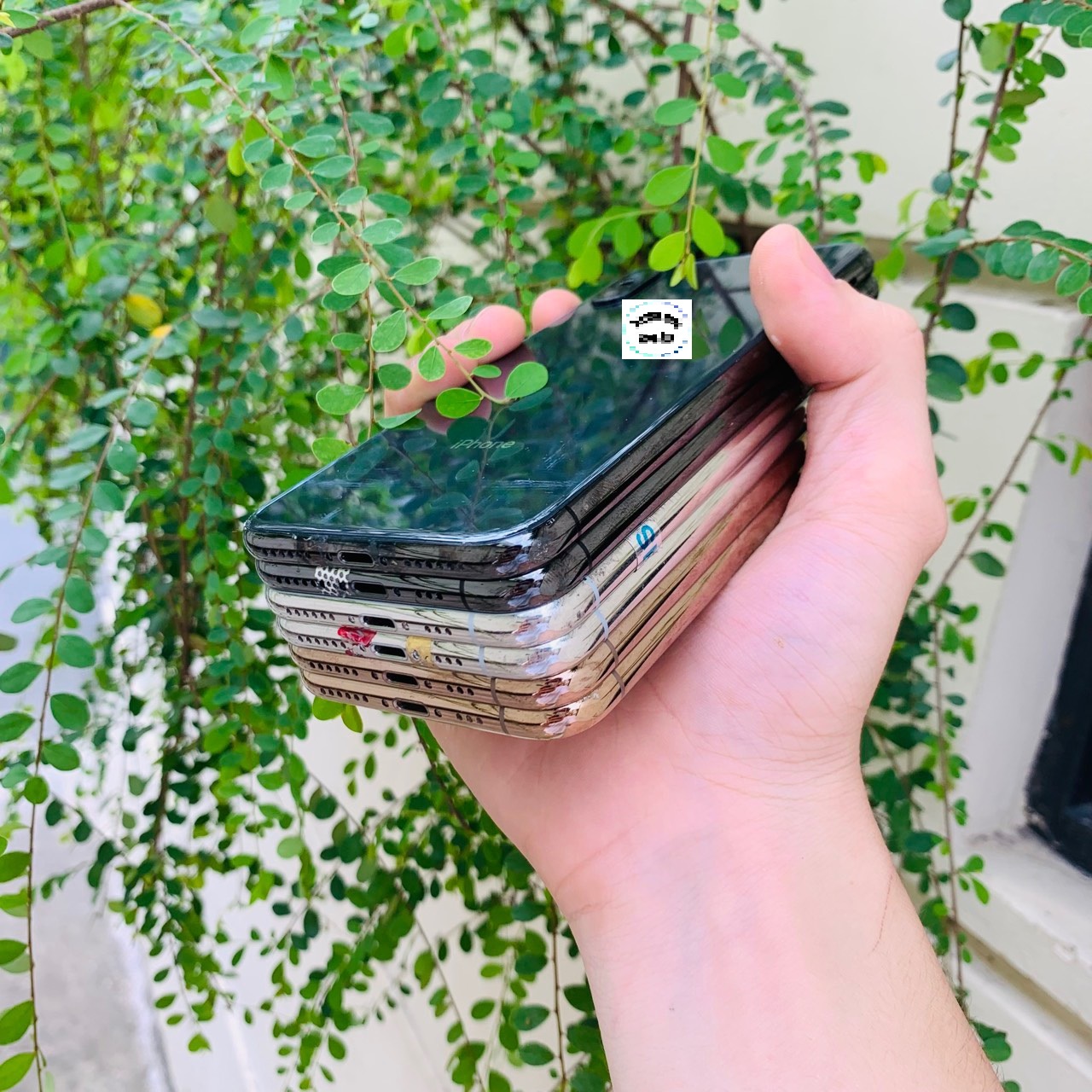 Vỏ sườn zin tháo máy dành cho XS và XSM