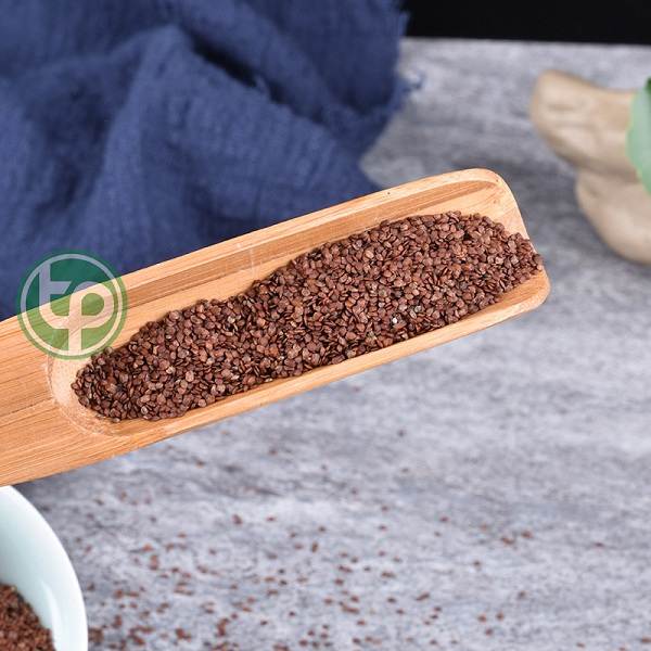 [HOT] Hạt đình lịch (hạt ngũ hoa) 100gr - Thảo Dược Tấn Phát