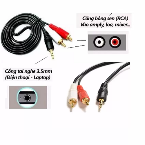 Cáp 3.5 ra 2 đầu bông sen dây 3M