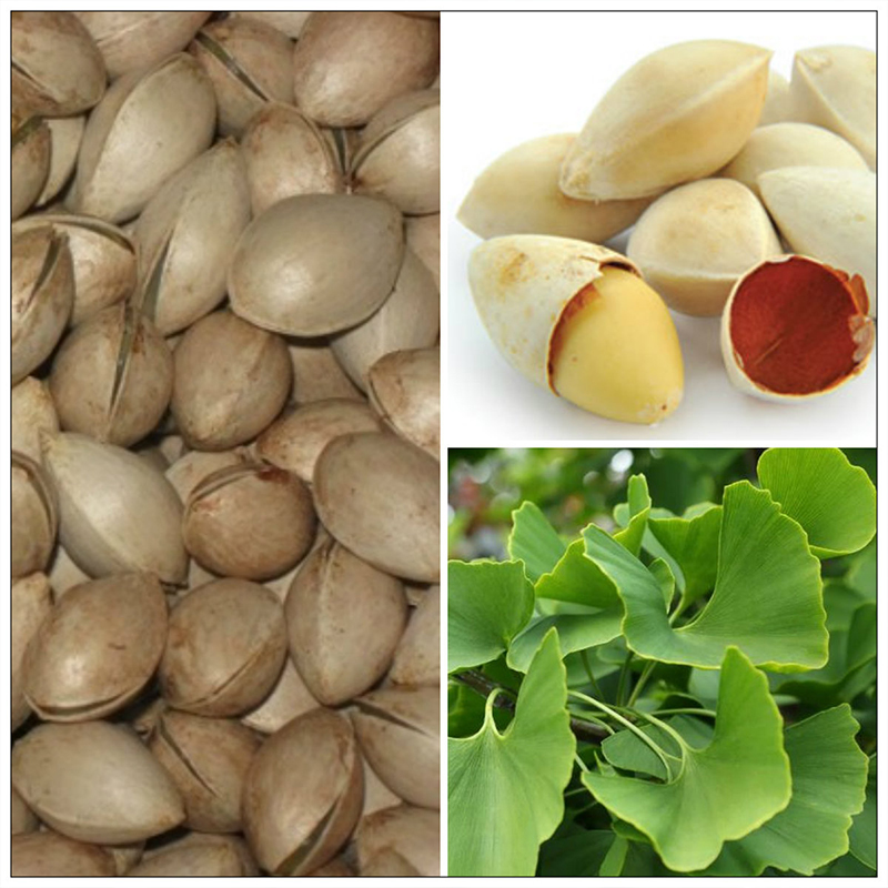 Bạch quả (gói 1kg) - DB113