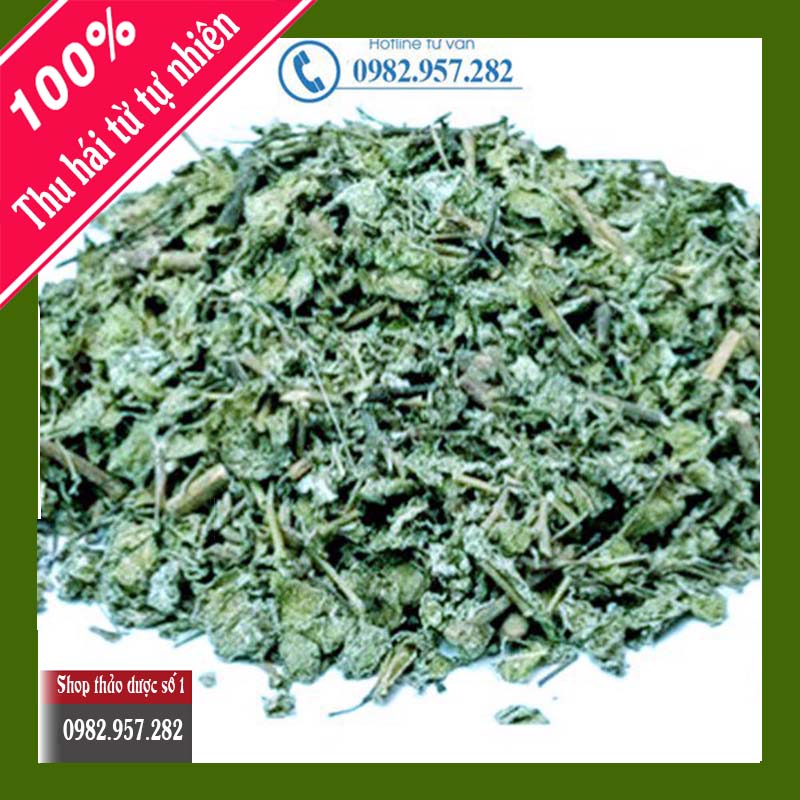 Cây Chè Dây Rừng -1kg