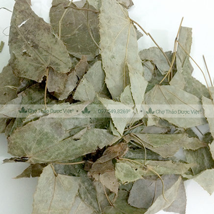Lá dâm dương hoắc khô 1kg, trà dâm dương, lá đẹp, thơm, sạch - Chợ Thảo Dược Việt