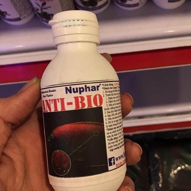 Anti Bio dung dichh giúp cá hết nấm làm sạch trùn chỉ