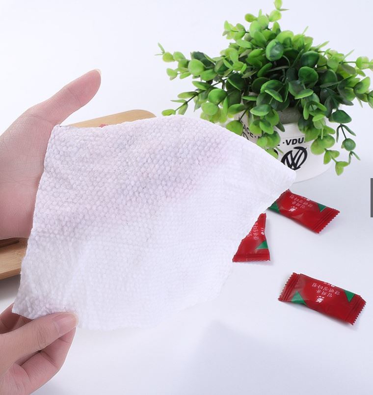 Túi 20 Khăn Mặt Dạng Viên Nén, Khăn Mặt MiNi Bỏ Túi Du Lịch Tiện Lợi