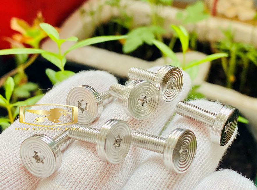 Ốc Salaya Thái TH 5li15 Nhiễn gắn dàn Áo nhiều loại xe máy Winner Sonic Exciter...