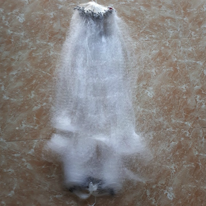 Lưới đánh cá rô đồng