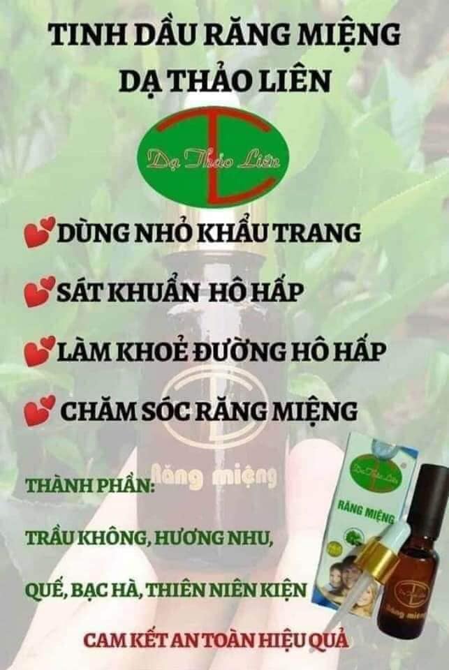 Tinh dầu răng miệng Dạ thảo liên