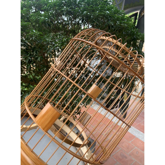Lồng khuyên xử lý size 22 x 30cm LC29