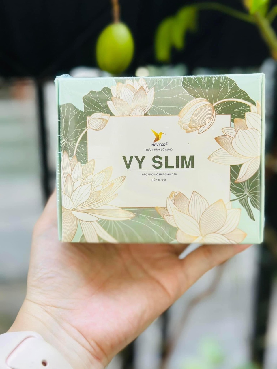 giảm cân vy slim chính hãng
