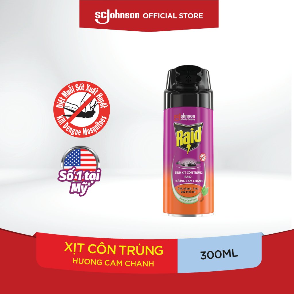 RAID Bình Xịt Côn Trùng 300ml - DN