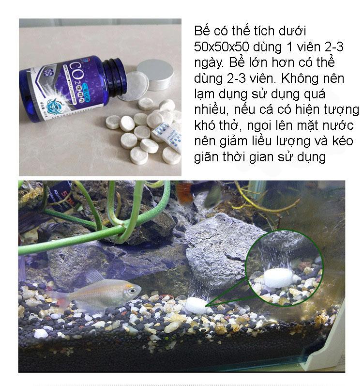 Set 60 viên sủi cung cấp CO2 cho hồ thủy sinh