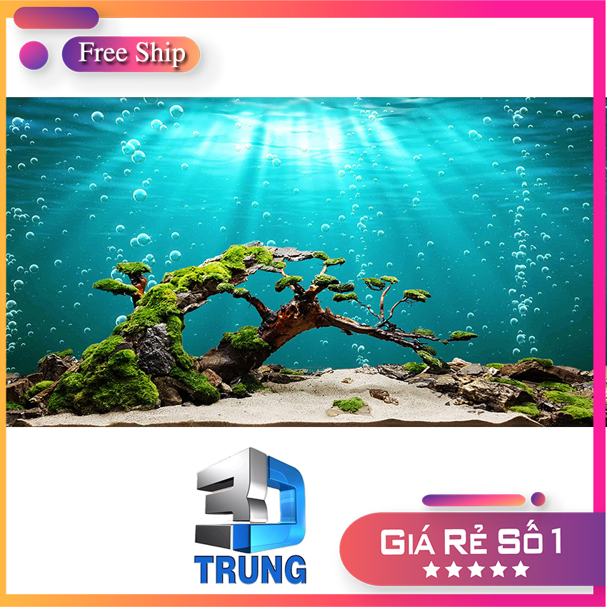 Tranh 3D bể cá có keo sẵn Trung3D mọi kt