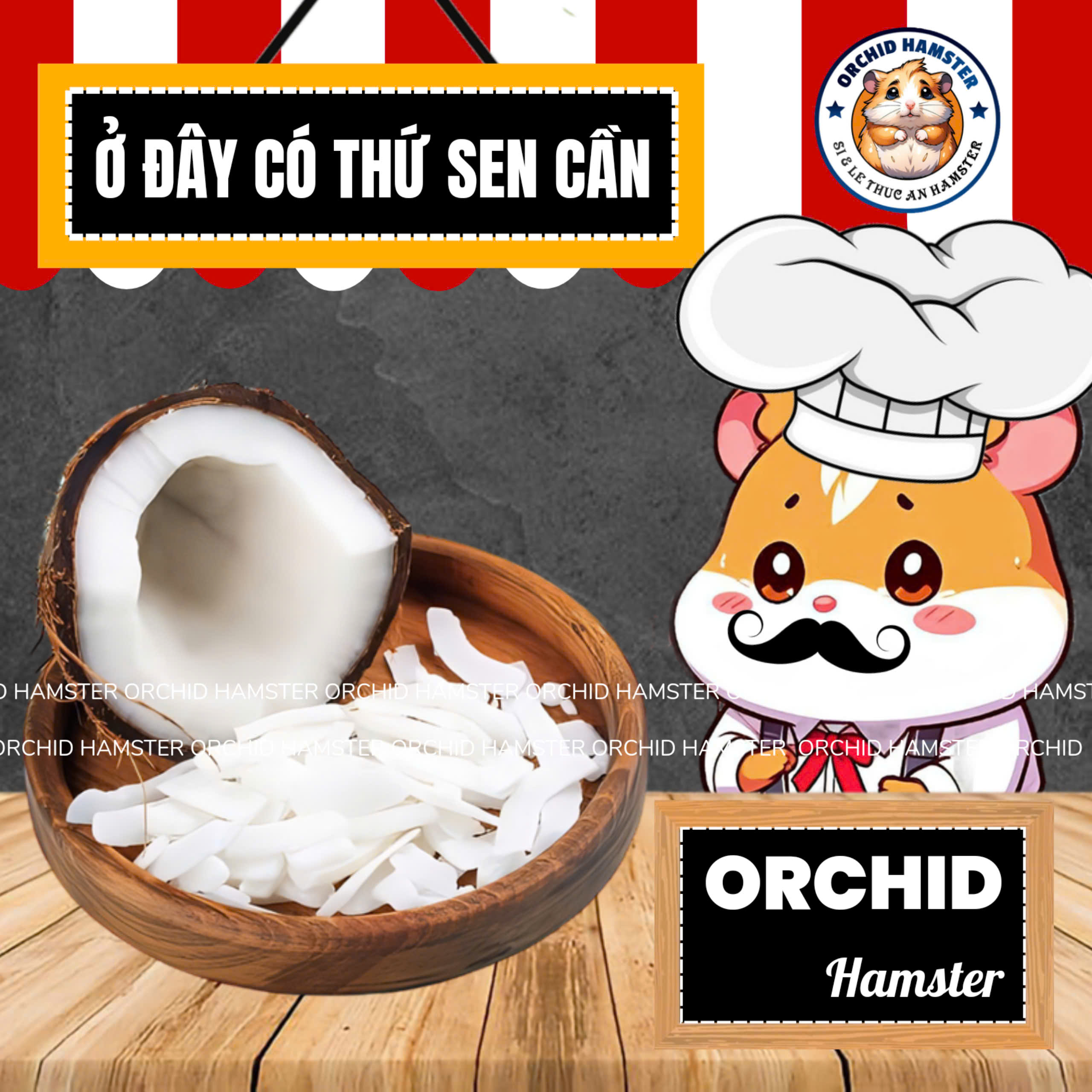 Dừa Khô Sấy Lạnh Dành Cho Hamster/Sóc/Thỏ/Nhím Và Thú Nhỏ
