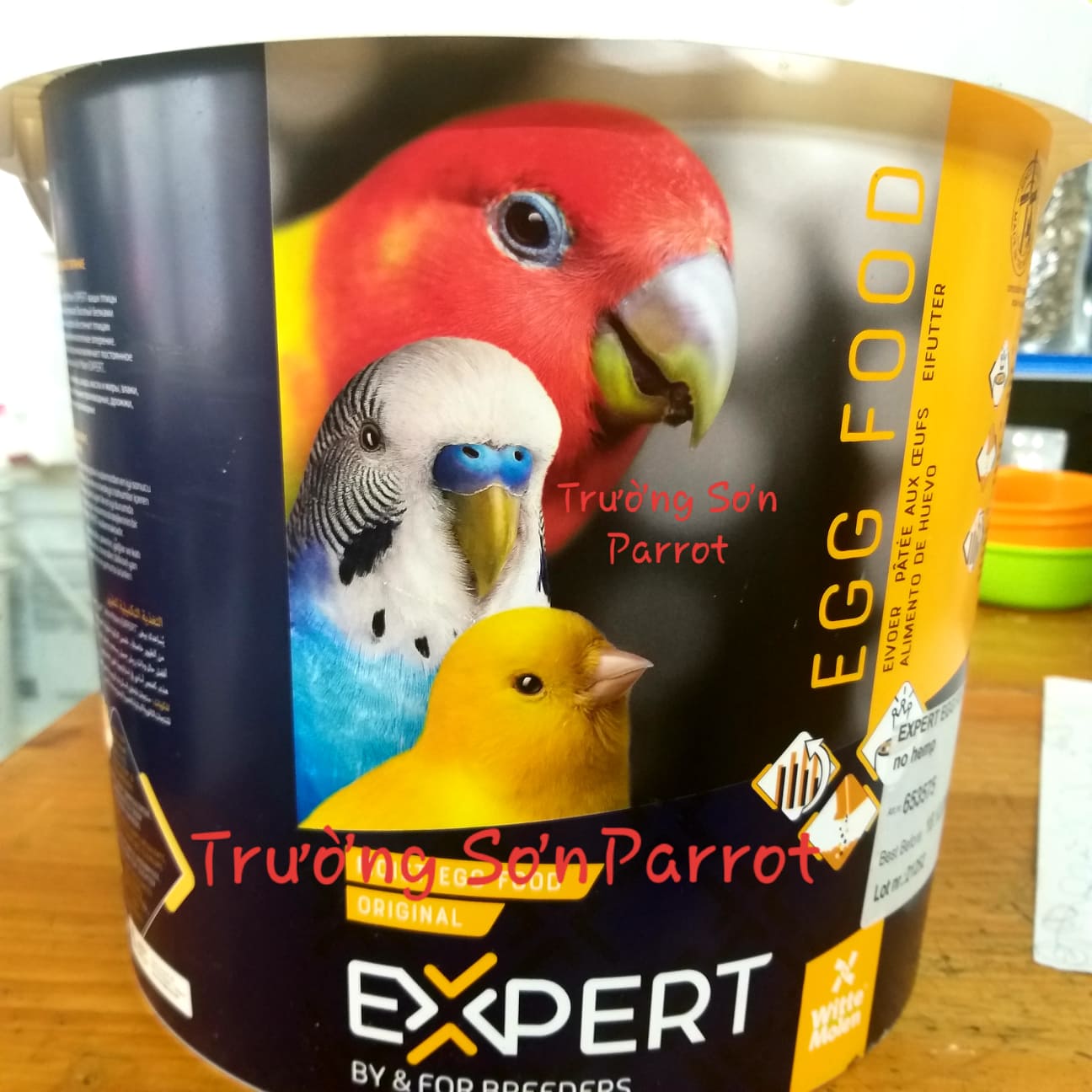 Budgerigar Vẹt Lovebird Macaw Loriini - 2668*1500 minh bạch Png Tải về miễn  phí - Con Chim, Có Xương Sống, Phân Bố.