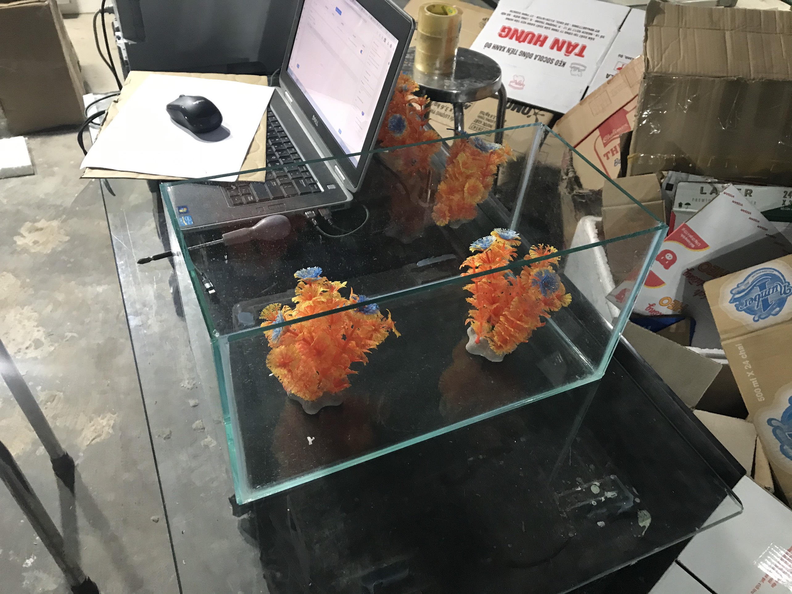 Hồ cá cảnh  40x20x20 kính 5mini chuẩn