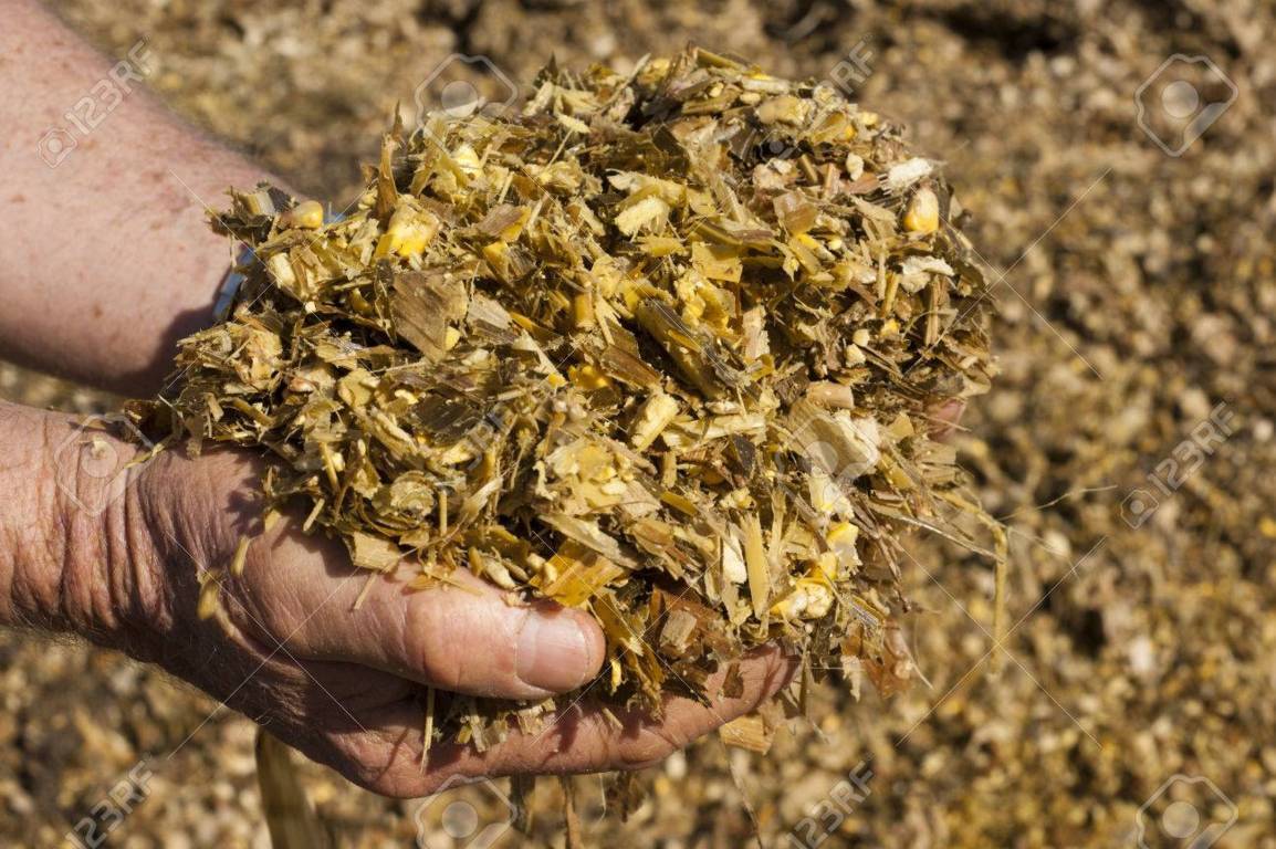 gói 500gr men vi sinh ủ  phối trộn thức ăn chăn nuôi  Tăng hiệu quả chăn nuôi  Sinh trưởng phát triển tốt thú nuôi ăn thức ăn ủ men cho tăng trọng cao hơn khoảng 24% Tăng khả năng sinh sản - Giảm chi phí thức ăn