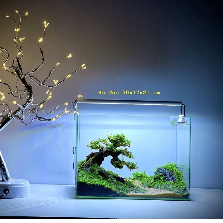 Lũa Bonsai mini trang trí hồ thủy sinh bể cá nhỏ nhiều dáng siêu đẹp