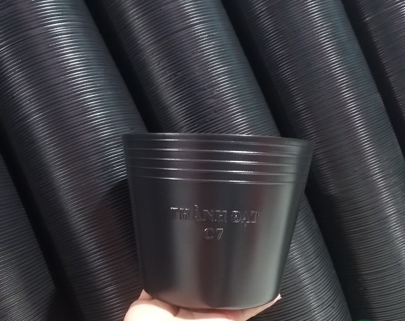 Combo 10 chậu C7 trồng hoa cây cảnh