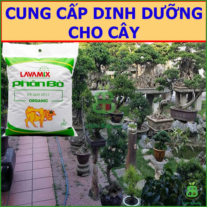 Phân Bò LAVAMIX Đã Qua Xử Lý 3DM3
