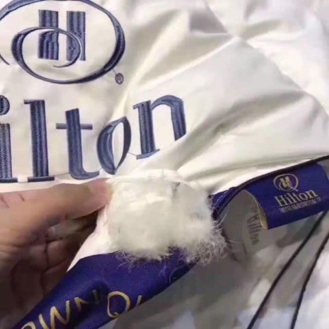 RUỘT CHĂN LÔNG VŨ HILTON CAO CẤP