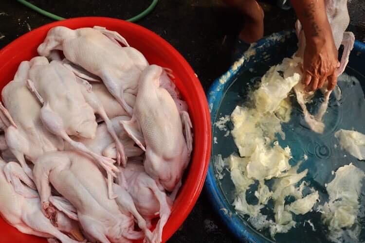 SÁP LÀM LÔNG NGAN-VỊT-GÀ TÚI 2KG