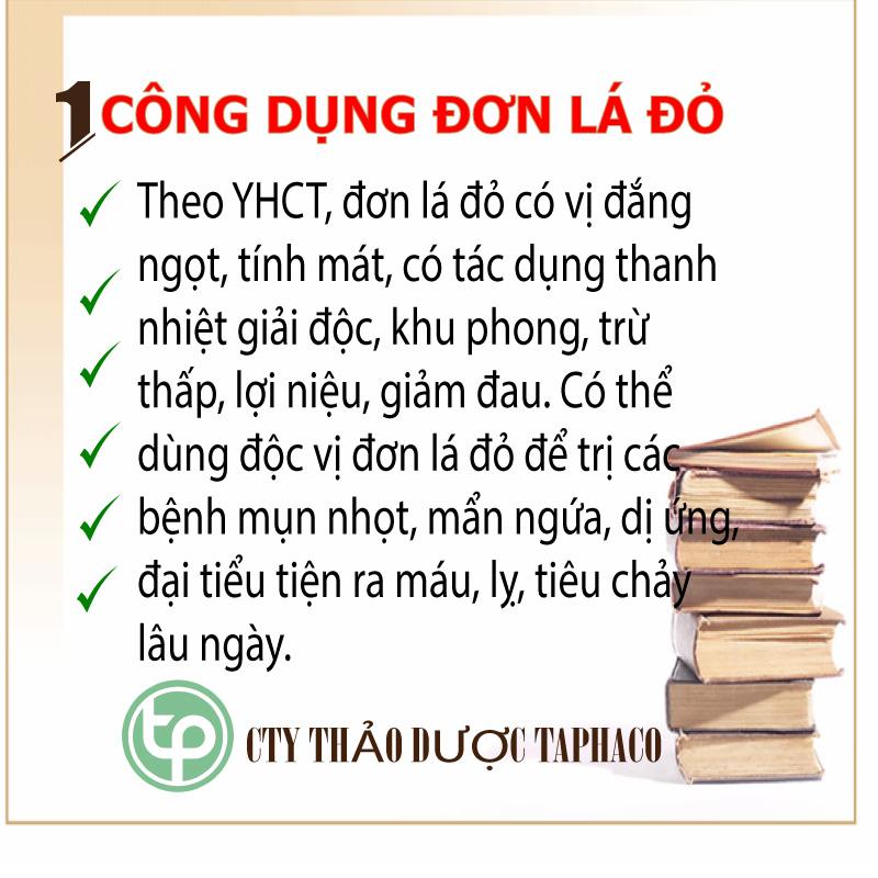 Lá đơn đỏ khô 500g - Thảo Dược Tấn Phát
