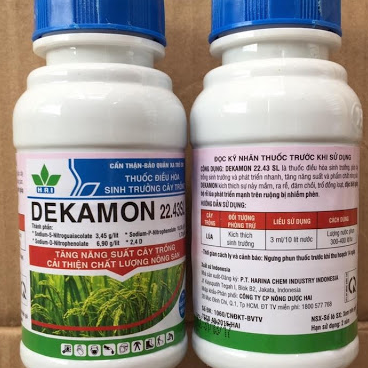 DEKAMON 100ML
