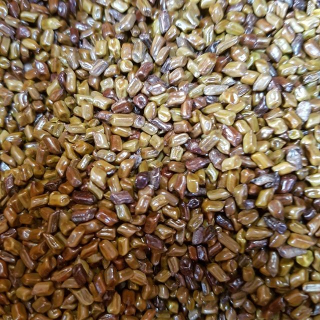 Combo 2kg Hạt Muồng ( Thảo Quyết Minh) làm trà