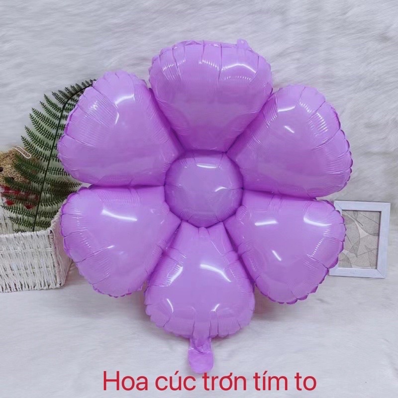Bóng trái tim, ngôi sao, hoa cúc daisy màu pastel