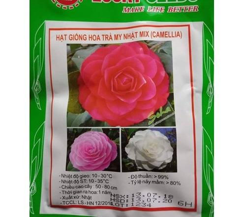 Hạt giống hoa Trà My Nhật mix(Camellia)