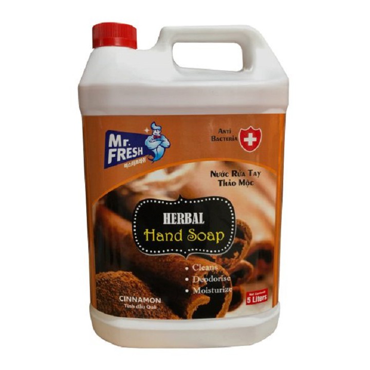 Can Nước Rửa Tay Khử Mùi Mr.Fresh 5L