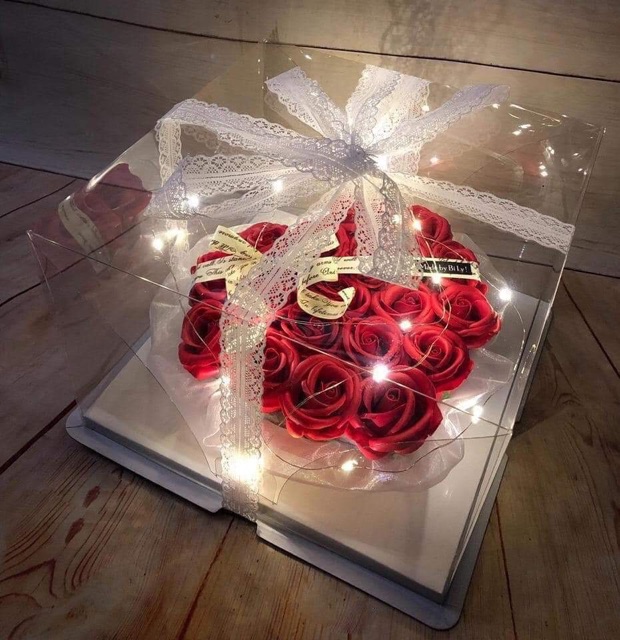 ĐÈN LED TRANG TRÍ BÓ HOA, HỘP QUÀ. DÀI 1M-2M
