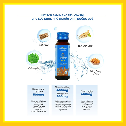 Nước đông trùng hạ thảo Hector sâm (Hộp 10 chai x 50ml)