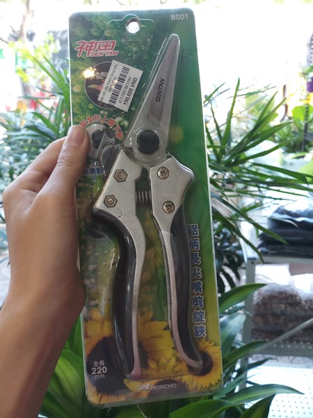 Kéo cắt cây thanh long kiểu 8S01