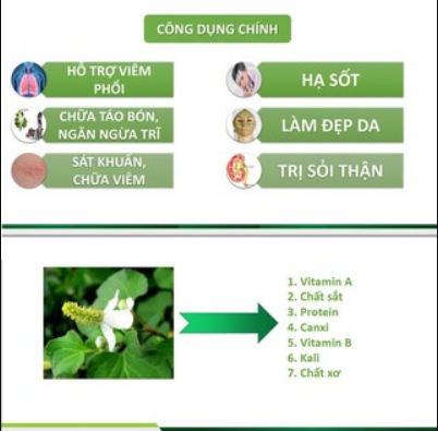 Bột diếp cá sấy lạnh nguyên chất Tuệ Minh (hộp 50 gram)