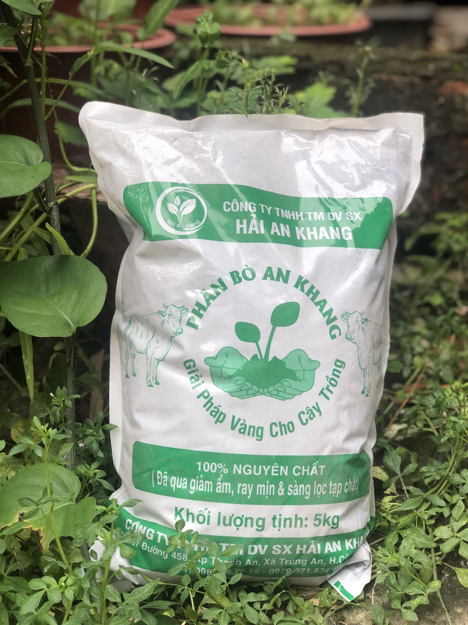 Phân bò an khang đã qua xử lý sạch mầm bệnh - 5kg