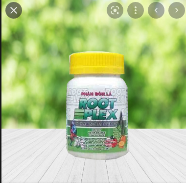 Phân Bón Tảo Biển Lá Cao Cấp Rootplex 100M