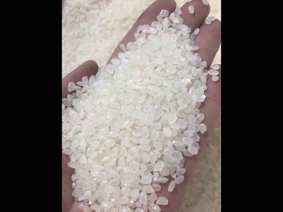 Gạo Nhật Iris 300gr
