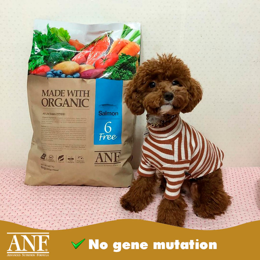 Hạt Chó Trên 6 Tháng ANF Natural 6Free Hữu Cơ